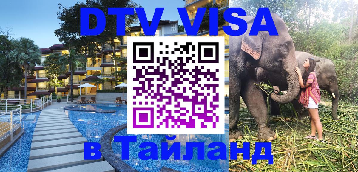 Стоимость и условия DTV визы — оформление в Таиланд под ключ - Веллингтон  21.11.2025 