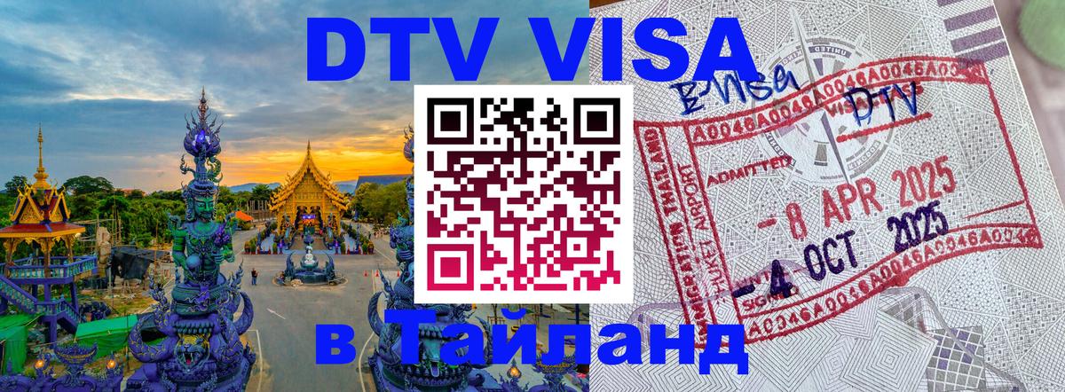 Сколько стоит DTV виза — актуальные цены, оформление даже без документов - Веллингтон 